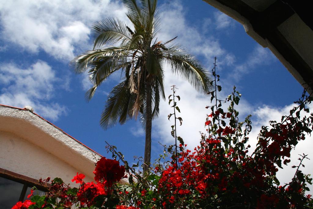 كوينكا Casa Macondo Bed & Breakfast الغرفة الصورة