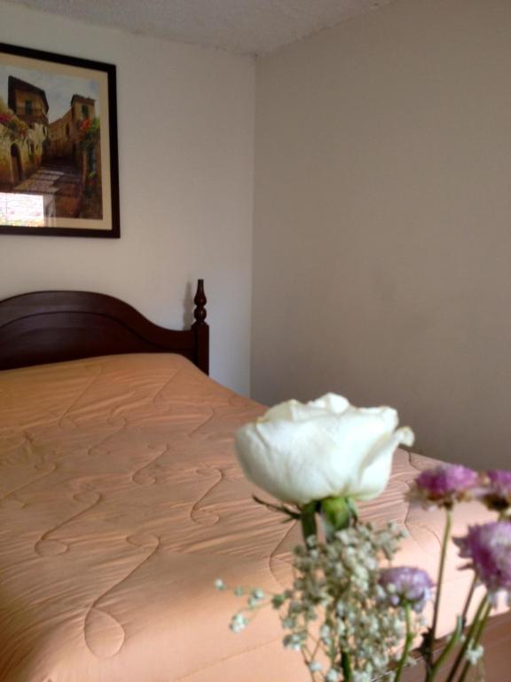 كوينكا Casa Macondo Bed & Breakfast الغرفة الصورة