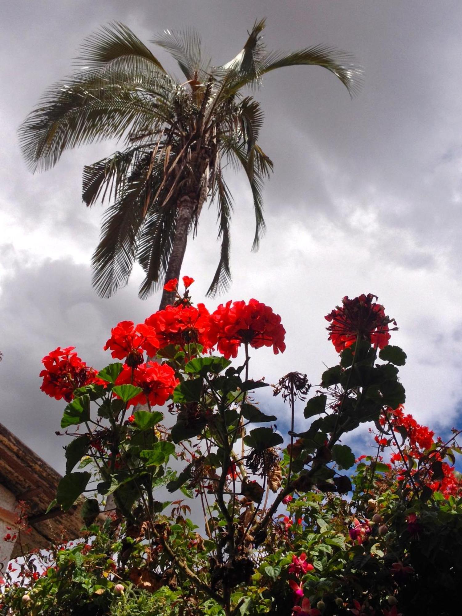 كوينكا Casa Macondo Bed & Breakfast المظهر الخارجي الصورة